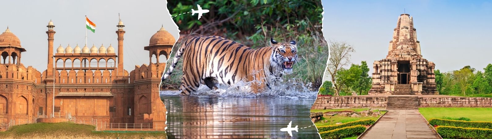 luxury golden triangle tour with temple and wildlife