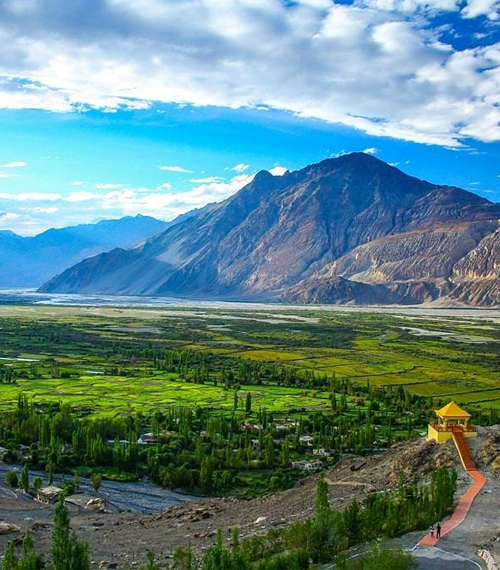 Leh Tour Package