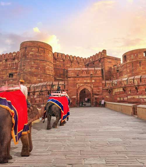 Same Day Jaipur Tour