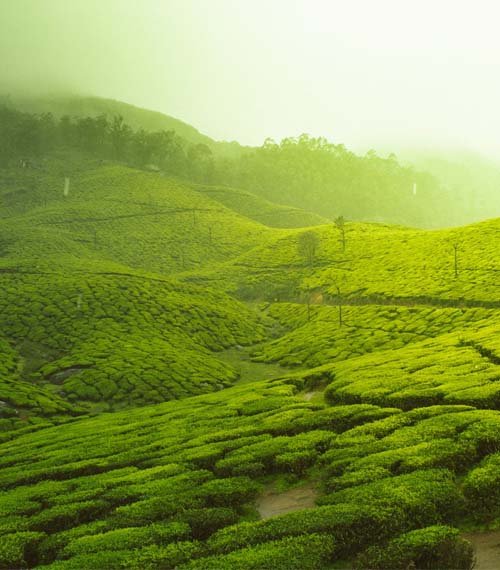 Luxury North India Tour with Kerala