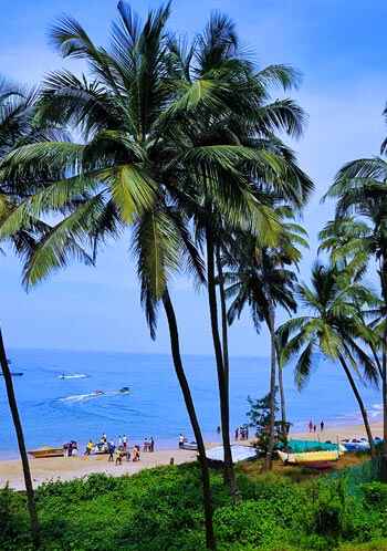 Beach Tours